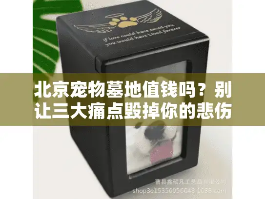 北京宠物墓地值钱吗？别让三大痛点毁掉你的悲伤告别