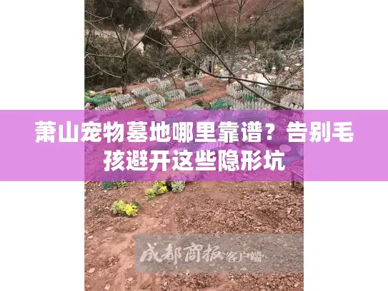萧山宠物墓地哪里靠谱？告别毛孩避开这些隐形坑