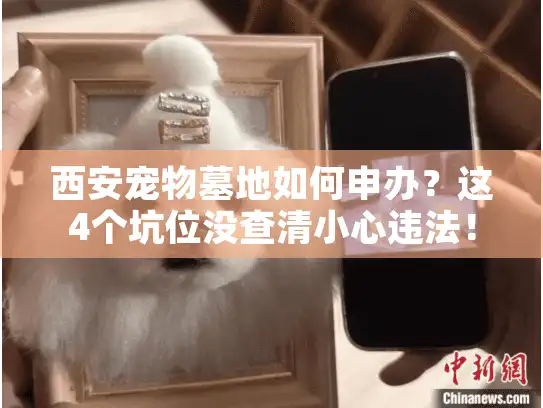 西安宠物墓地如何申办？这4个坑位没查清小心违法！