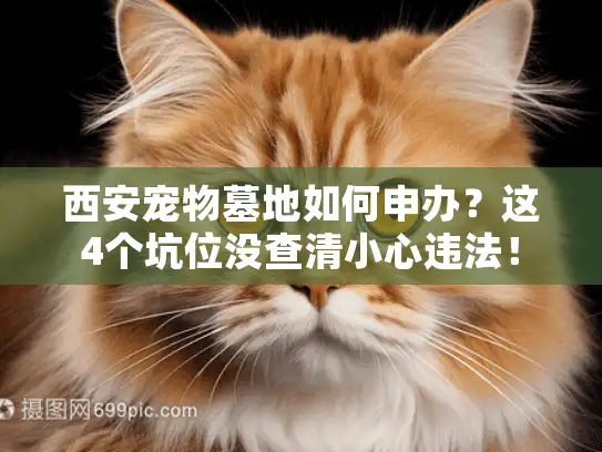 西安宠物墓地如何申办？这4个坑位没查清小心违法！