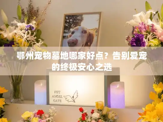 鄂州宠物墓地哪家好点？告别爱宠的终极安心之选