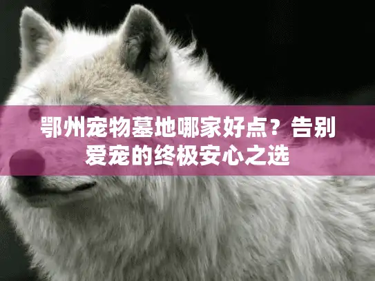 鄂州宠物墓地哪家好点？告别爱宠的终极安心之选