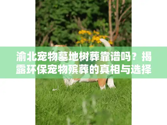 渝北宠物墓地树葬靠谱吗？揭露环保宠物殡葬的真相与选择策略