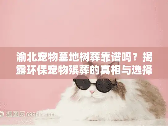 渝北宠物墓地树葬靠谱吗？揭露环保宠物殡葬的真相与选择策略