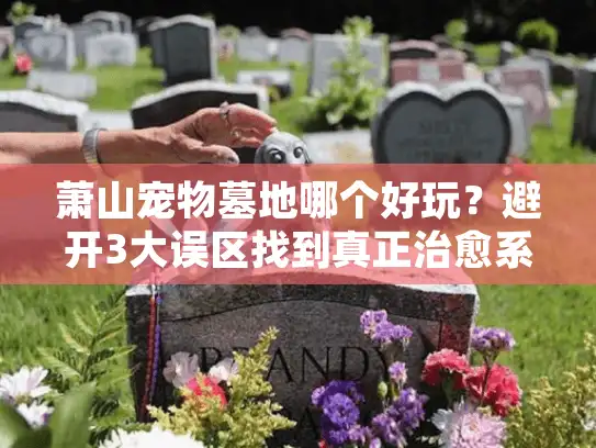 萧山宠物墓地哪个好玩？避开3大误区找到真正治愈系告别空间