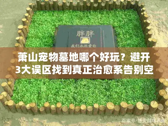 萧山宠物墓地哪个好玩？避开3大误区找到真正治愈系告别空间