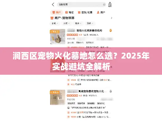 涧西区宠物火化墓地怎么选？2025年实战避坑全解析