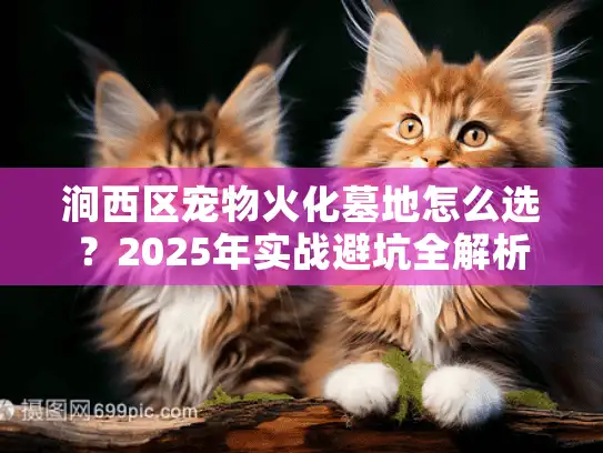 涧西区宠物火化墓地怎么选？2025年实战避坑全解析