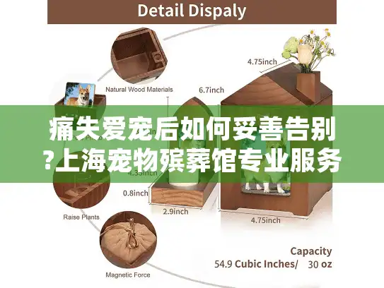 痛失爱宠后如何妥善告别?上海宠物殡葬馆专业服务指南助您安心