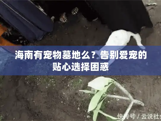 海南有宠物墓地么？告别爱宠的贴心选择困惑