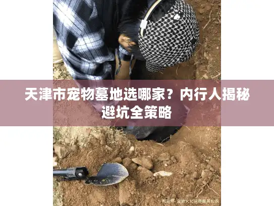 天津市宠物墓地选哪家？内行人揭秘避坑全策略
