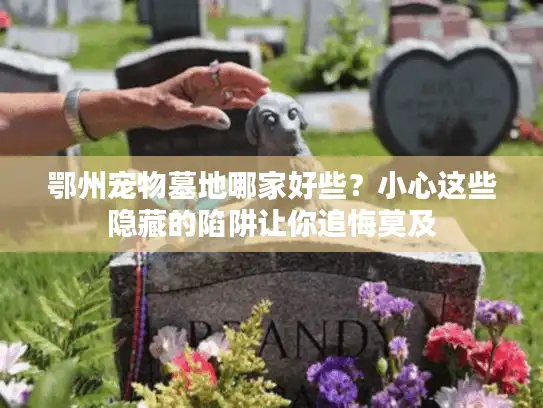 鄂州宠物墓地哪家好些？小心这些隐藏的陷阱让你追悔莫及