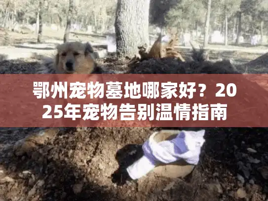 鄂州宠物墓地哪家好？2025年宠物告别温情指南