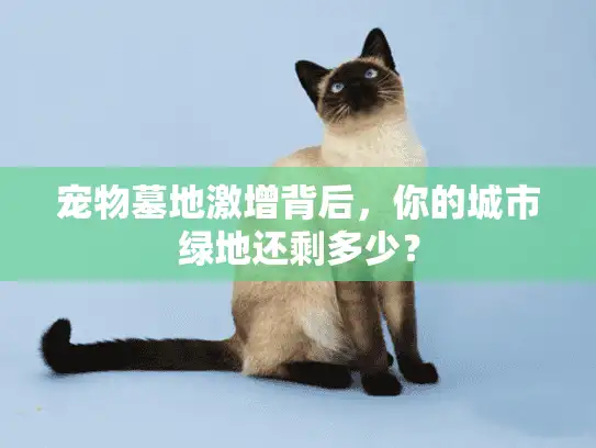 宠物墓地激增背后，你的城市绿地还剩多少？