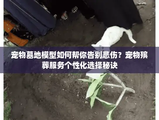 宠物墓地模型如何帮你告别悲伤？宠物殡葬服务个性化选择秘诀