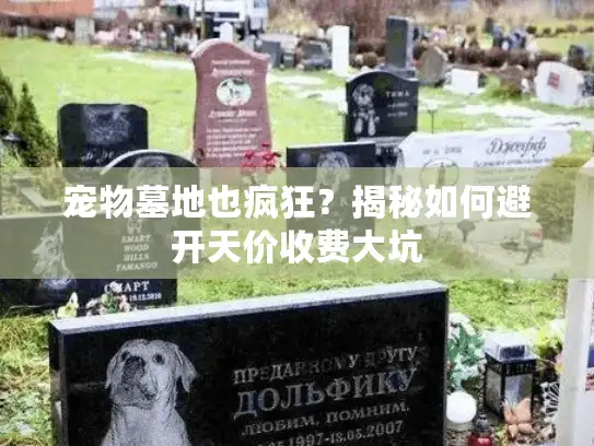 宠物墓地也疯狂？揭秘如何避开天价收费大坑