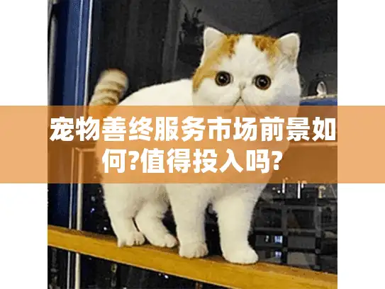 宠物善终服务市场前景如何?值得投入吗?