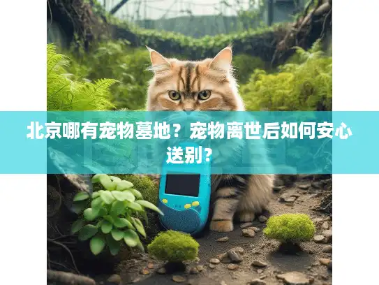 北京哪有宠物墓地？宠物离世后如何安心送别？