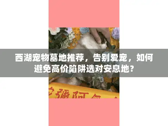 西湖宠物墓地推荐，告别爱宠，如何避免高价陷阱选对安息地？