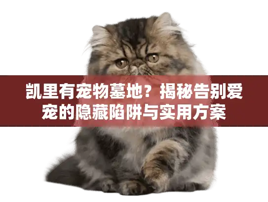 凯里有宠物墓地？揭秘告别爱宠的隐藏陷阱与实用方案