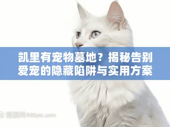凯里有宠物墓地？揭秘告别爱宠的隐藏陷阱与实用方案