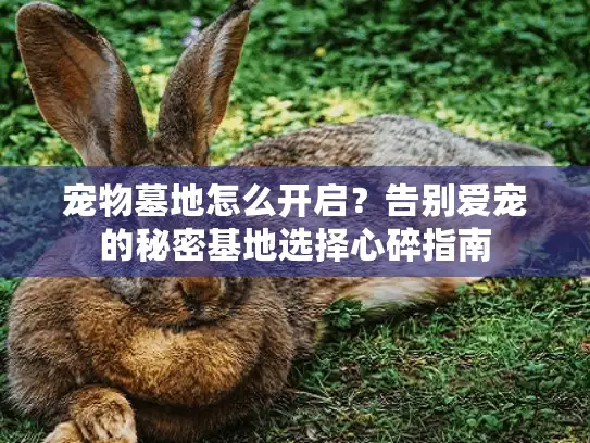 宠物墓地怎么开启？告别爱宠的秘密基地选择心碎指南