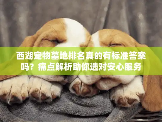 西湖宠物墓地排名真的有标准答案吗？痛点解析助你选对安心服务