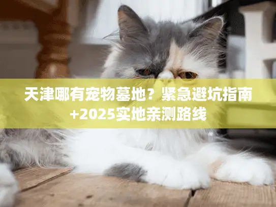 天津哪有宠物墓地？紧急避坑指南+2025实地亲测路线