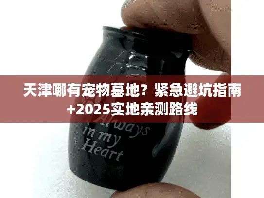 天津哪有宠物墓地？紧急避坑指南+2025实地亲测路线