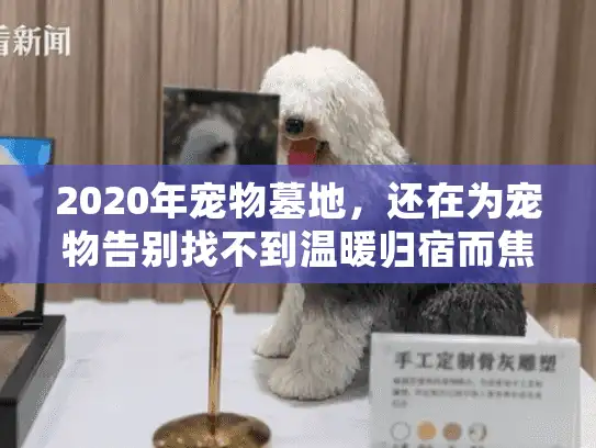 2020年宠物墓地，还在为宠物告别找不到温暖归宿而焦虑？解锁人性化选择秘诀