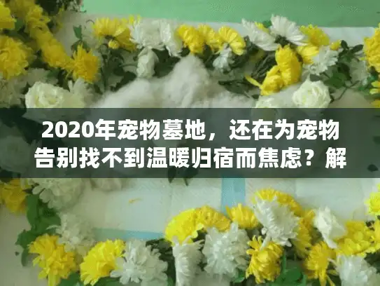 2020年宠物墓地，还在为宠物告别找不到温暖归宿而焦虑？解锁人性化选择秘诀