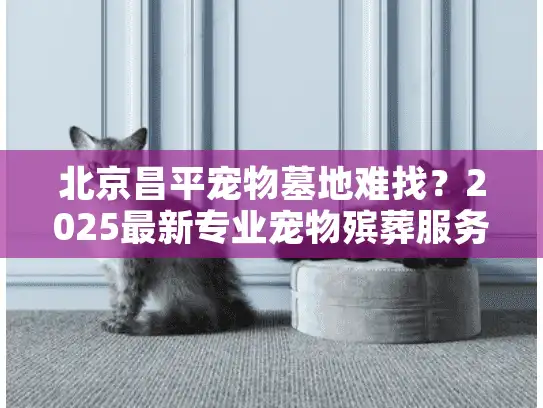北京昌平宠物墓地难找？2025最新专业宠物殡葬服务贴心解密