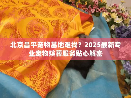 北京昌平宠物墓地难找？2025最新专业宠物殡葬服务贴心解密