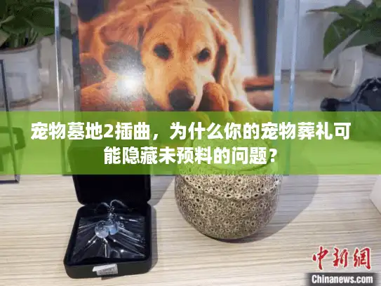 宠物墓地2插曲，为什么你的宠物葬礼可能隐藏未预料的问题？
