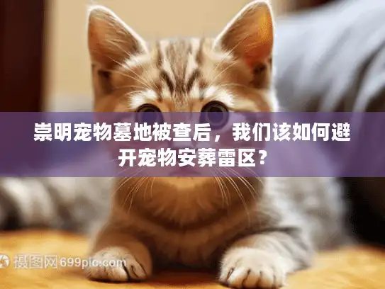 崇明宠物墓地被查后，我们该如何避开宠物安葬雷区？