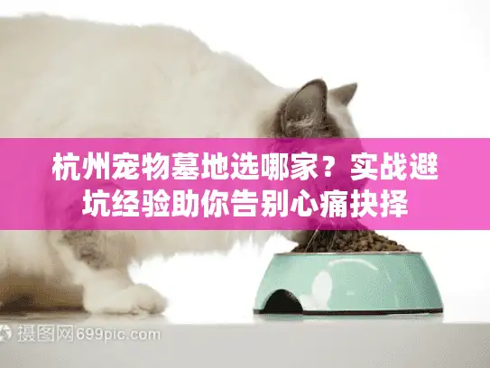 杭州宠物墓地选哪家？实战避坑经验助你告别心痛抉择