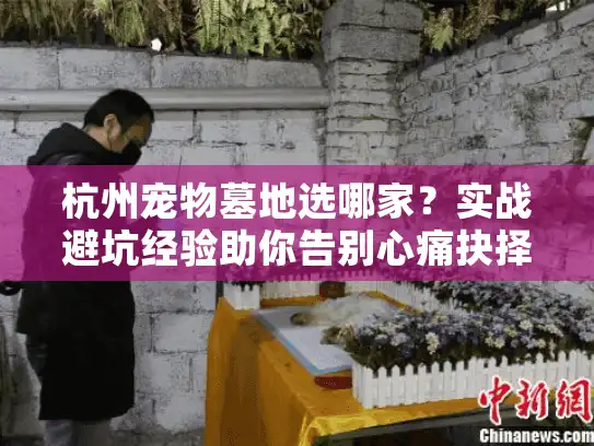 杭州宠物墓地选哪家？实战避坑经验助你告别心痛抉择