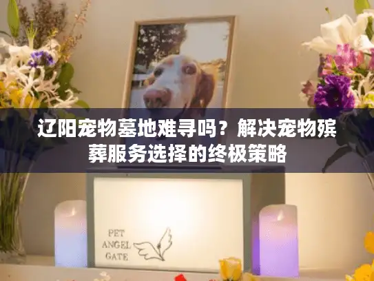 辽阳宠物墓地难寻吗？解决宠物殡葬服务选择的终极策略