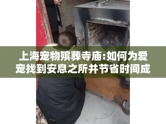 上海宠物殡葬寺庙:如何为爱宠找到安息之所并节省时间成本?