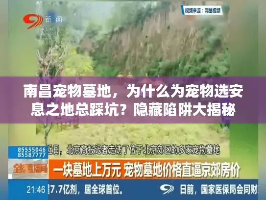 南昌宠物墓地，为什么为宠物选安息之地总踩坑？隐藏陷阱大揭秘