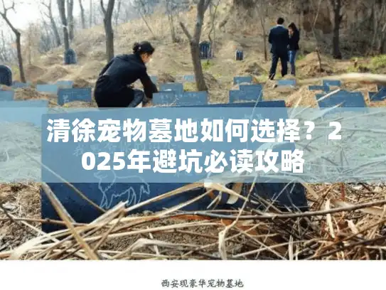 清徐宠物墓地如何选择？2025年避坑必读攻略