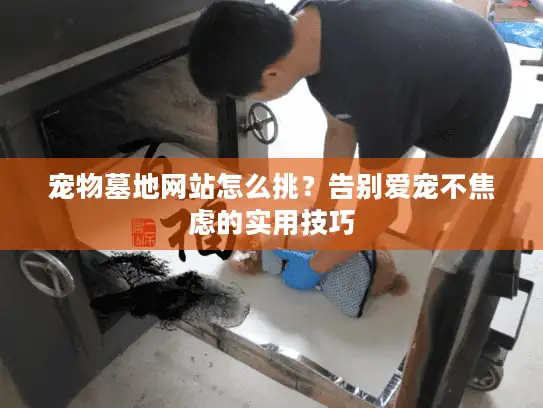 宠物墓地网站怎么挑？告别爱宠不焦虑的实用技巧