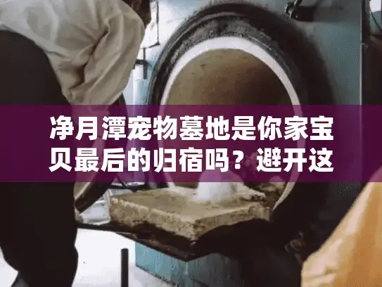 净月潭宠物墓地是你家宝贝最后的归宿吗？避开这5大误区更重要