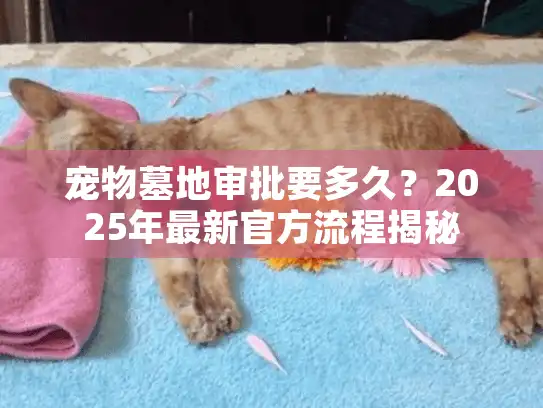 宠物墓地审批要多久？2025年最新官方流程揭秘