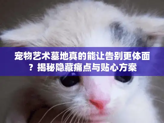 宠物艺术墓地真的能让告别更体面？揭秘隐藏痛点与贴心方案