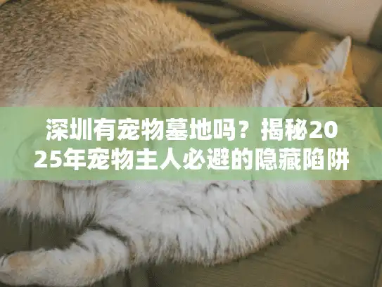 深圳有宠物墓地吗？揭秘2025年宠物主人必避的隐藏陷阱与实用行动指南