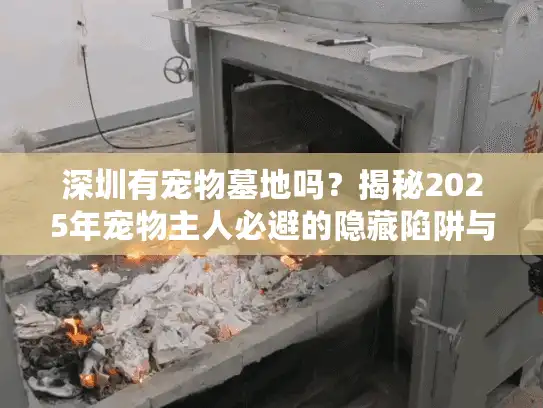 深圳有宠物墓地吗？揭秘2025年宠物主人必避的隐藏陷阱与实用行动指南