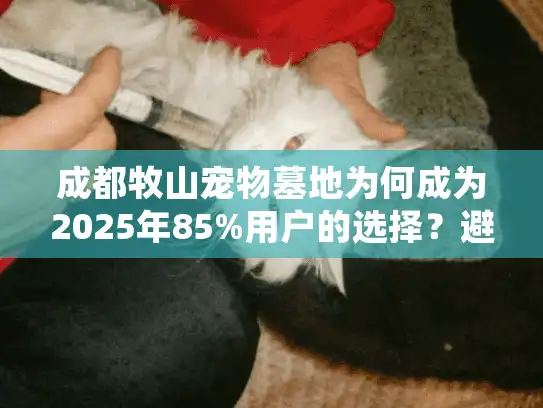 成都牧山宠物墓地为何成为2025年85%用户的选择？避坑必看细节清单