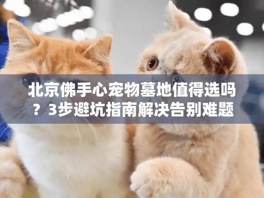 北京佛手心宠物墓地值得选吗？3步避坑指南解决告别难题