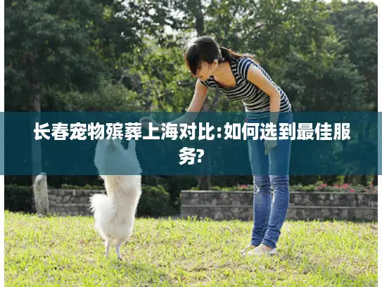 长春宠物殡葬上海对比:如何选到最佳服务?